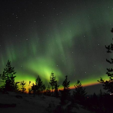 Lagomhuset - A Peaceful Holiday In Swedish Lapland Vidsel Extérieur photo