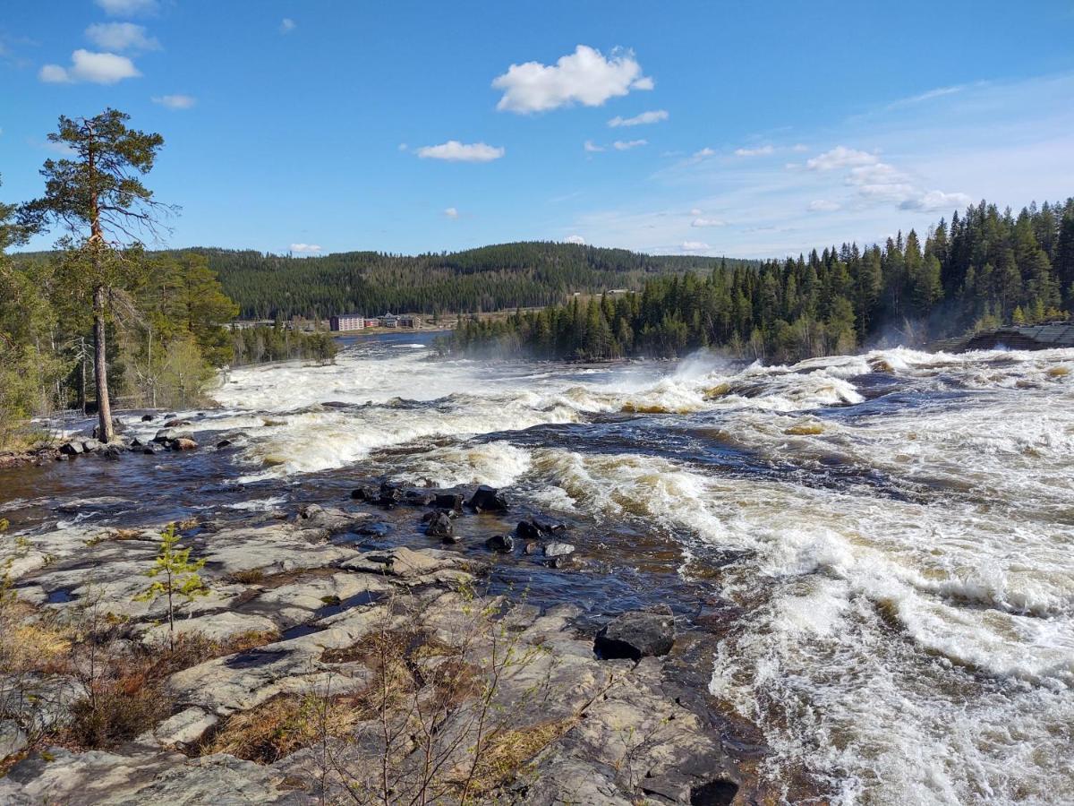 Lagomhuset - A Peaceful Holiday In Swedish Lapland Vidsel Extérieur photo