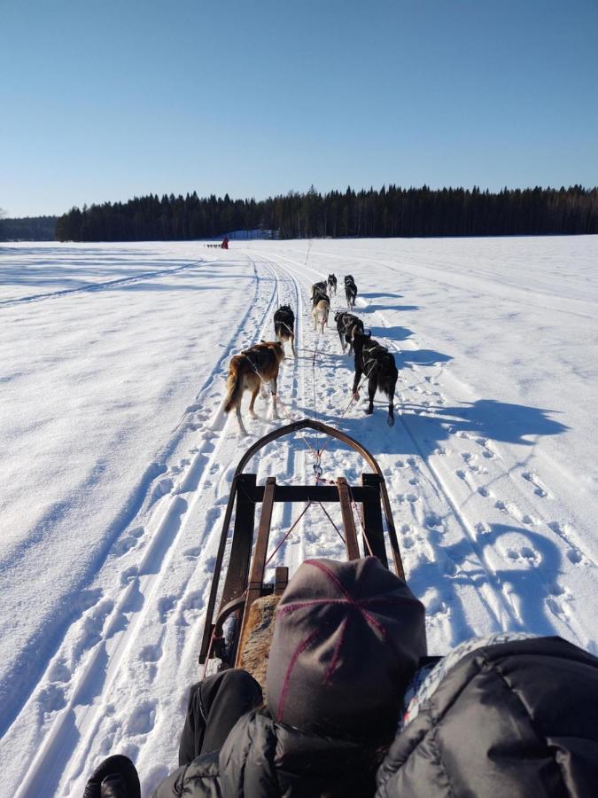 Lagomhuset - A Peaceful Holiday In Swedish Lapland Vidsel Extérieur photo